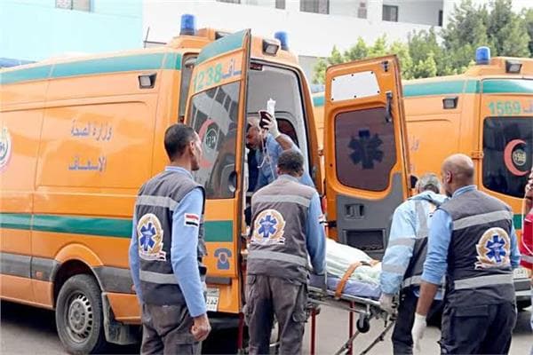 Nine Hurt in Minya Microbus Crash