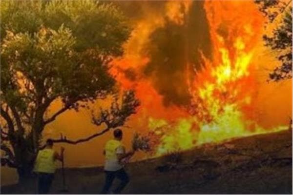 Tunisia forecast: Hot summer through October