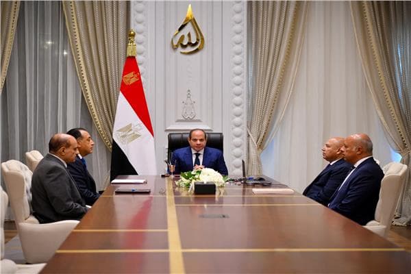 السيسي يوجه بتسريع مشاريع الموانئ والنقل