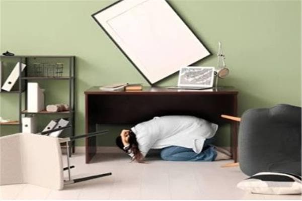Earthquake safety procedures overview