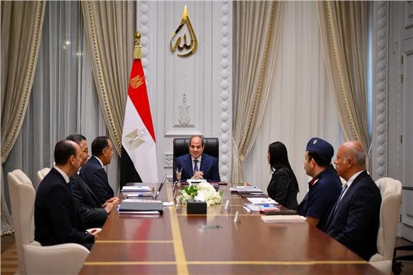 السيسي يوجه لتحسين منظومة الدعم
