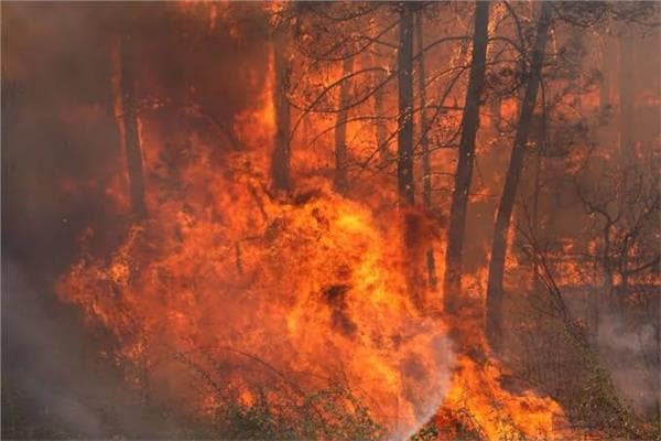 Washington evacuates 60,000 amid wildfires