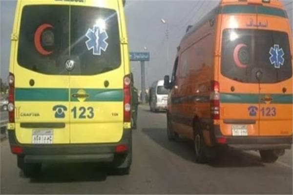 Minya Car Collision Injures 10