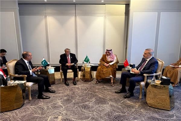 Egypt, Saudi, Pakistan, Turkey discuss regional tensions