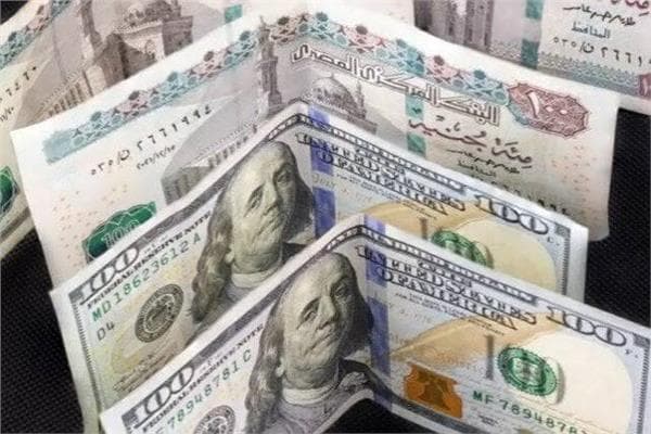 US dollar falls versus Egyptian pound