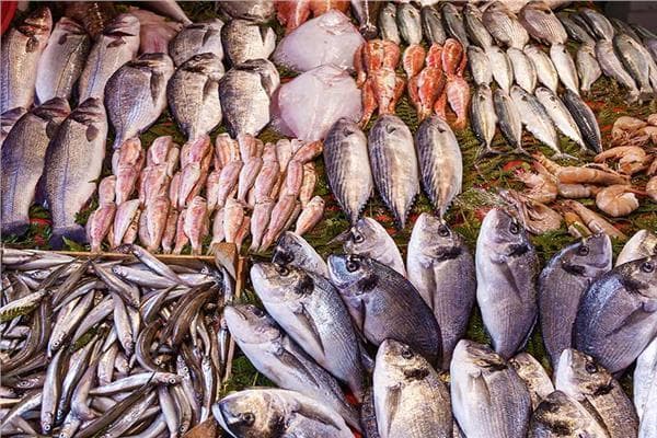 Fish prices at Ataba wholesale on August 7