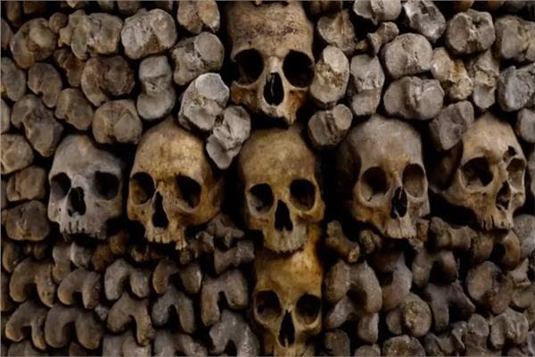 Mystery of Brain Preservation in Graves