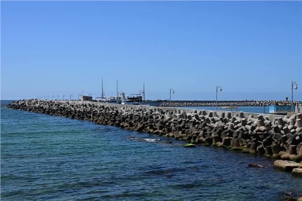 Alexandria's Climate Risk Preparations