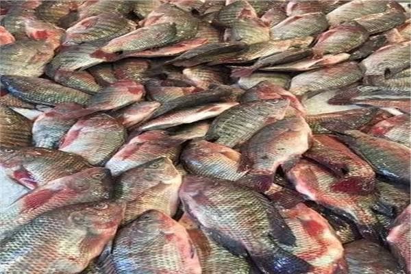 Today’s fish prices August 8