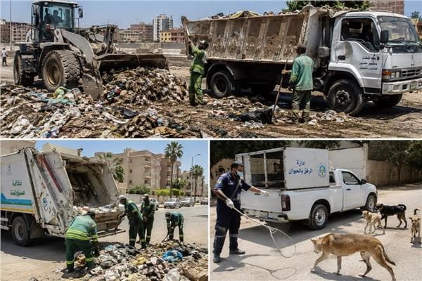 شكوى بيئية حول النفايات والحيوانات في يوليو