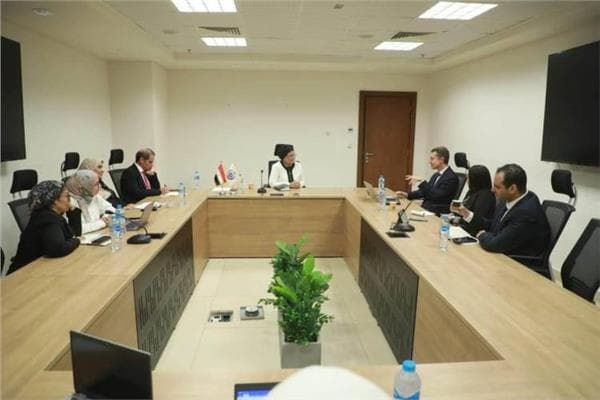 Egypt and France Collaborate on Healthcare Development