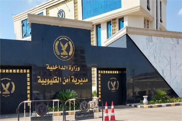 Anboba, Kautsh, Hamou in custody in Qalyoub