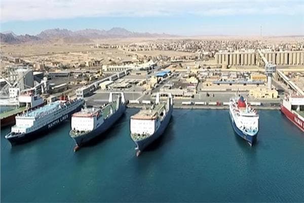 Red Sea ports handle 12,625 tons of freight