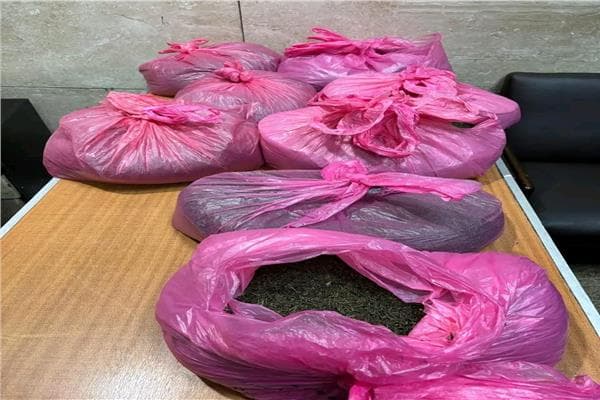 جمارك مطار القاهرة تضبط 51 كجم قات