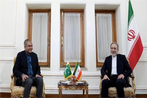 Pakistani Interior Minister Meets Araqchi in Tehran