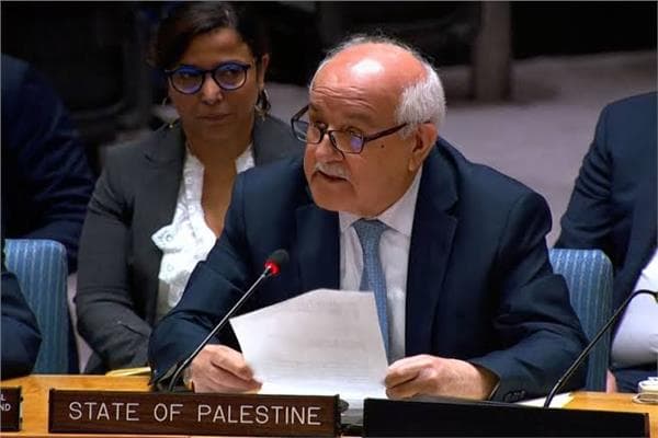 Palestinian Delegate Criticizes Israel's Gaza Response