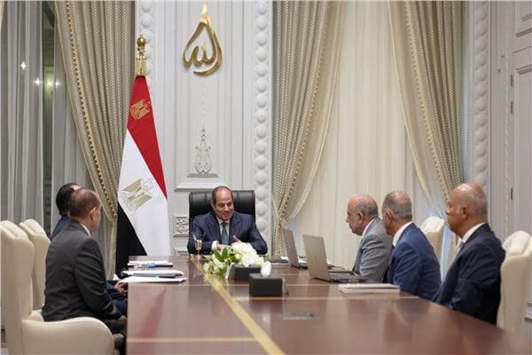 السيسي يراجع خطة توسيع مشاريع الطاقة الجديدة