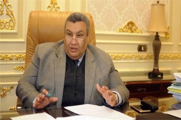 Deputy Calls to Reopen Sohag Nursing Schools