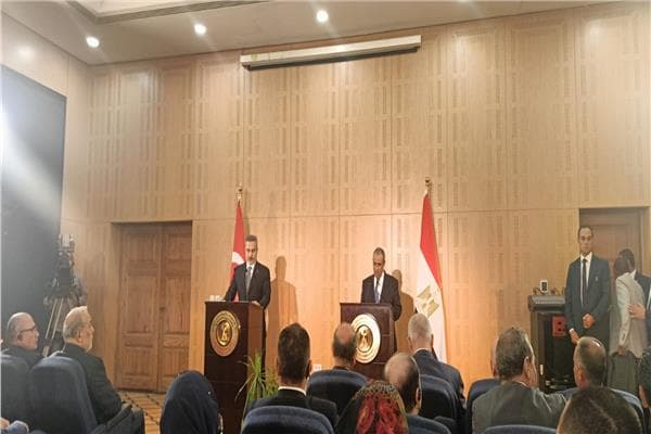 Foreign Minister: Egypt-Turkey Ties Strong
