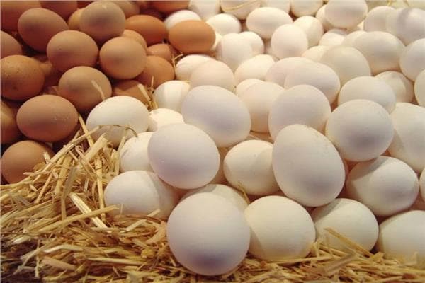Egg prices on August 15
