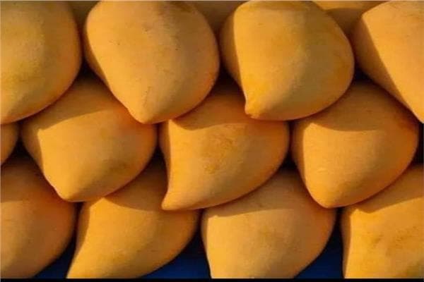 أسعار الفاكهة في سوق العبور السبت