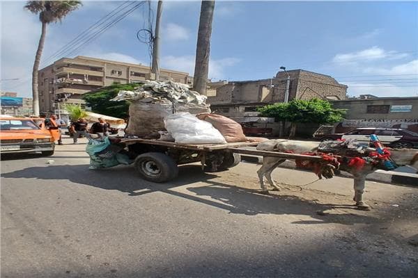 محافظ الدقهلية يراقب حملة ضد النباشين في المنصورة