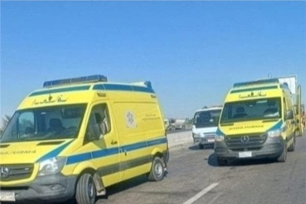 Nine hurt in Benha highway crash