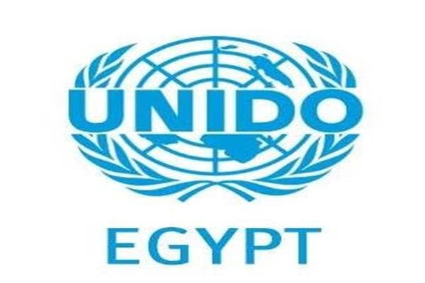 خبير: «اليونيدو» يدعم خطة الصناعة المصرية 2030