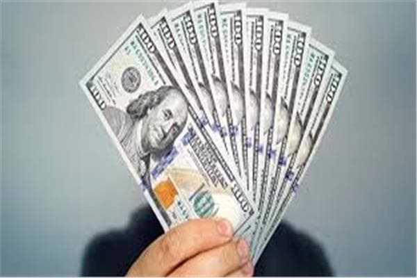US dollar stabilizes against Egyptian pound
