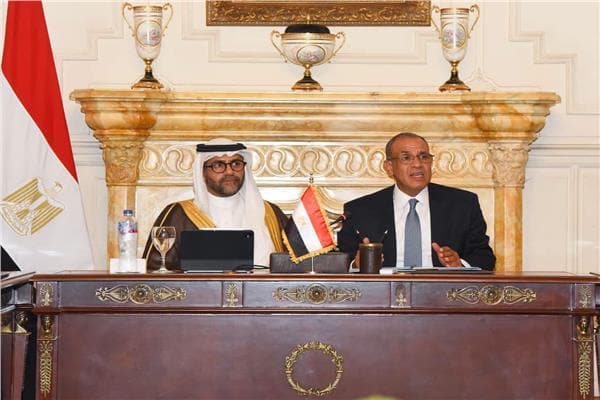 Foreign Minister talks private support for Egyptian expansion in Africa
