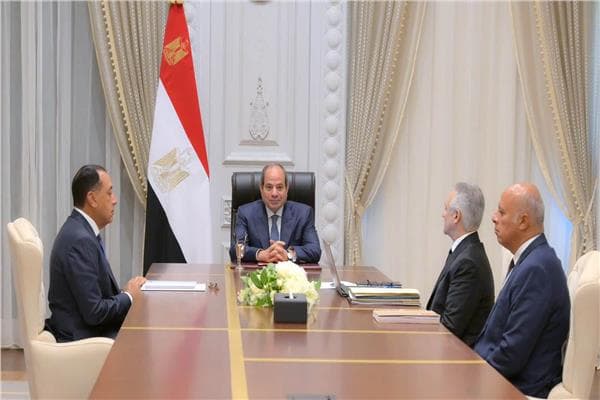 President Sissi oversees notary services progress
