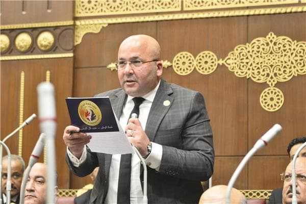 نائب: تنفيذ أحكام النفقات يعزز حقوق الأسرة