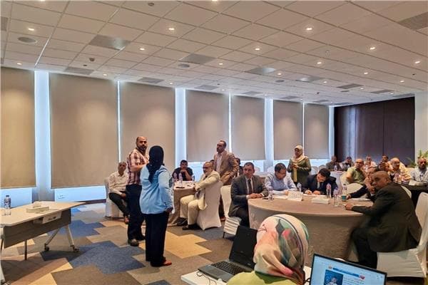 Education finalizes Arabic teacher training for Egyptian baccalaureate