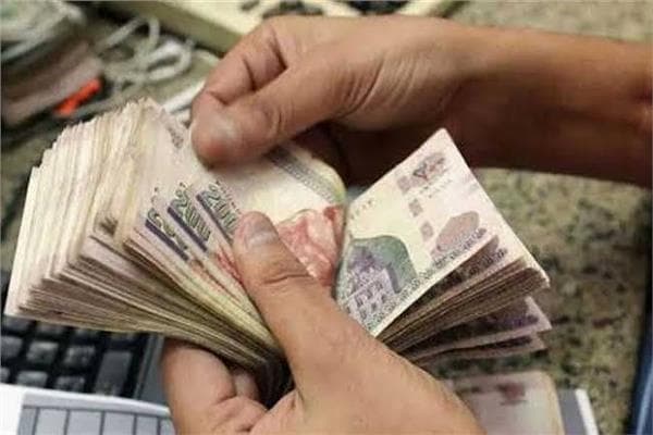 البنك المركزي المصري يحدد سعر الفائدة غداً