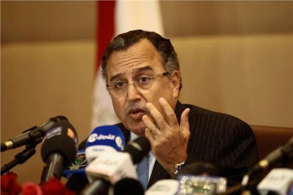 نبيل فهمي: الجولان أرض سورية محتلة