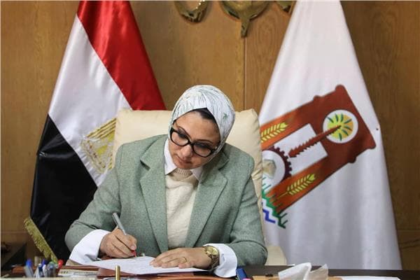 محافظ الوادي الجديد يصدر قرارا بعد اشتباه تسمم جماعي