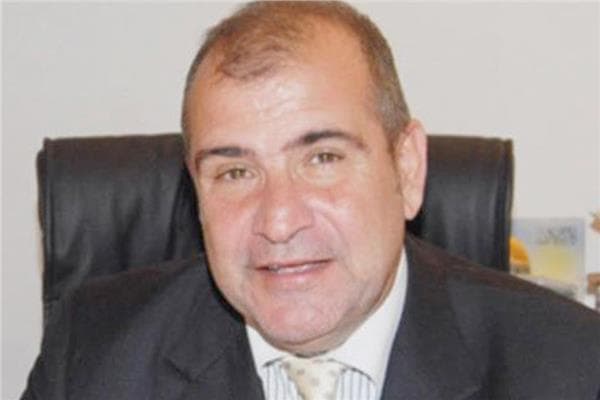 Ayman Mushrefa on Nyerere Dam cooperation