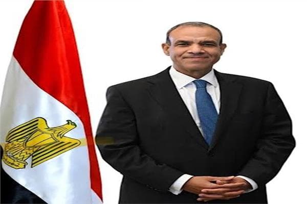 وزير الخارجية يتناول تطورات فلسطين مع نائب الرئيس