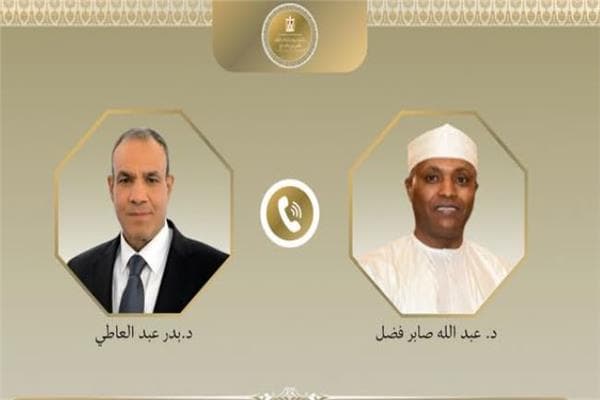 Egypt and Chad discuss Sudan and Libya issues