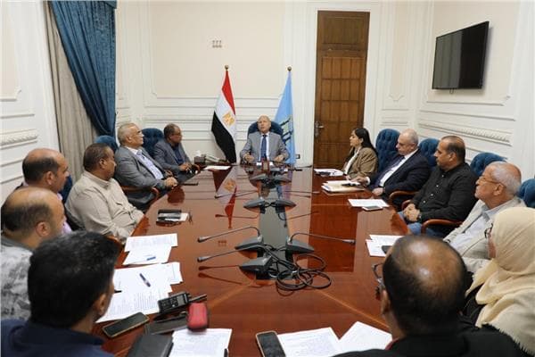 Cairo Governor reviews housing project progress
