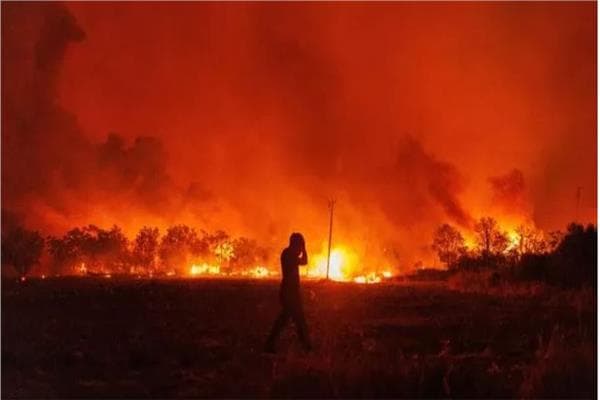 Algeria Firekillings Reach 12