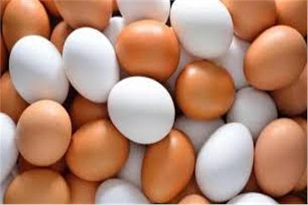 أسعار البيض اليوم في المزارع