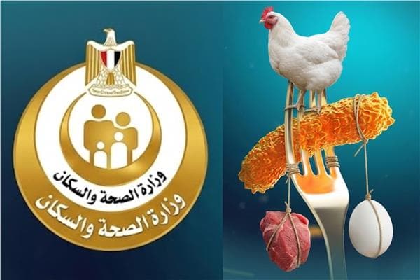 Health Ministry clarifies salmonella spread