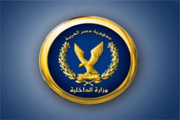 Cairo driver who assaulted and insulted citizen detained