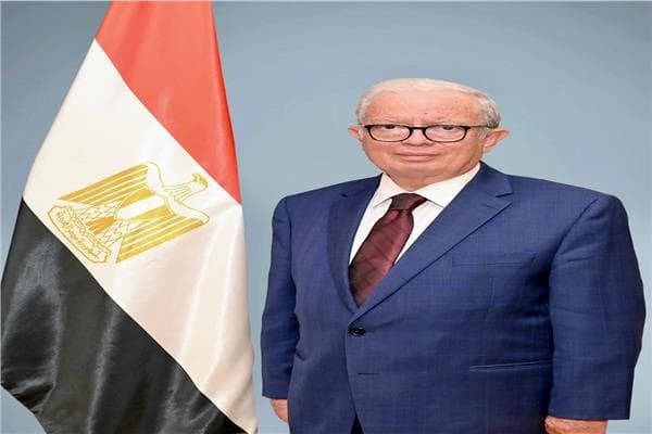 Deputy PM outlines Egypt's economic goals at Shanghai