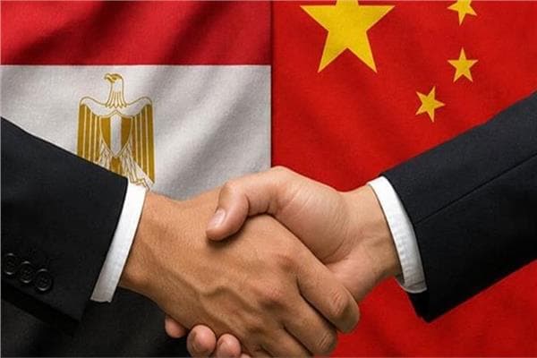 خبير يوجه مصر والصين نحو التصنيع