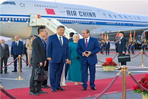Chinese Expert: Egypt Key Partner in Region
