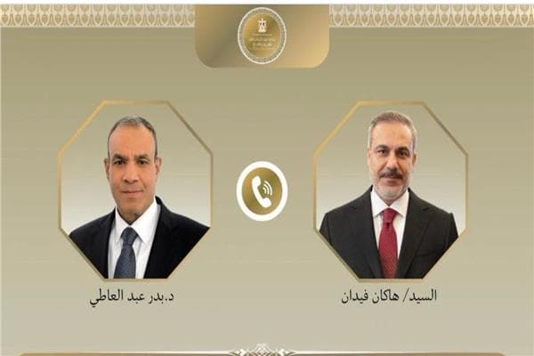Egypt and Turkey seek to boost economic ties