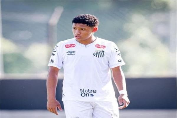 Santos Forward and Eindhoven Defender in Egypt 2010 Squad