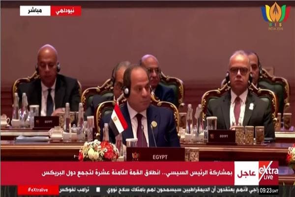 السيسي يؤكد على حماية حرية الملاحة